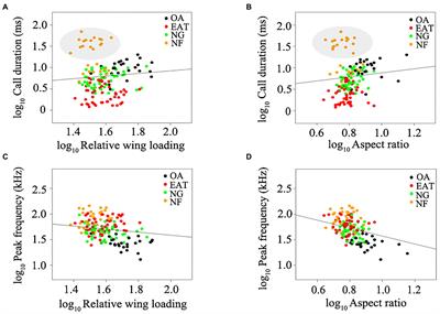 Correlated evolution of wing morphology and echolocation calls in bats